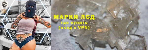 трава Верея